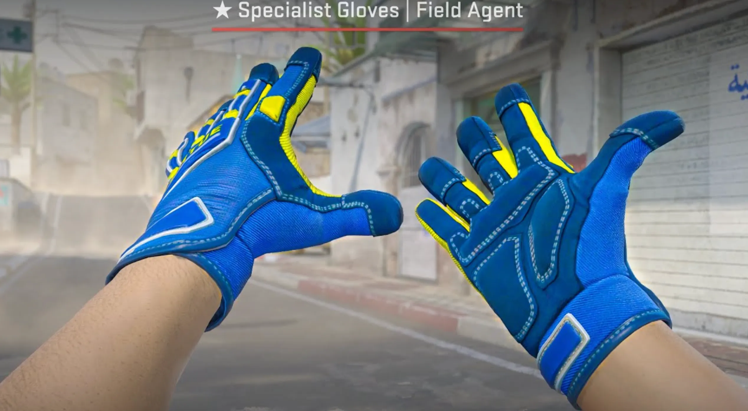 Specialist Gloves Field Agent and blue steel knife